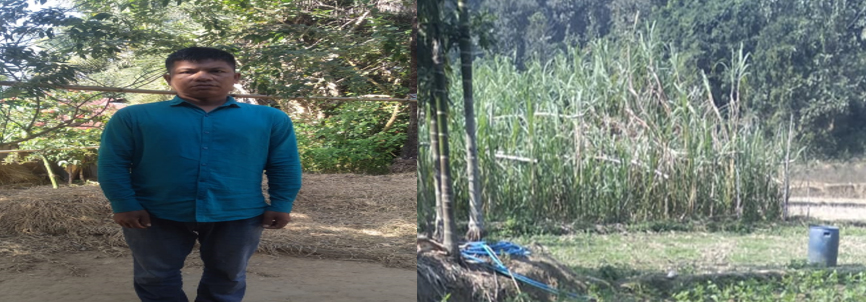 মুরগি খামার ও কৃষিতে মনোযোগ দিয়েছেন দিপু তঞ্চঙ্গা