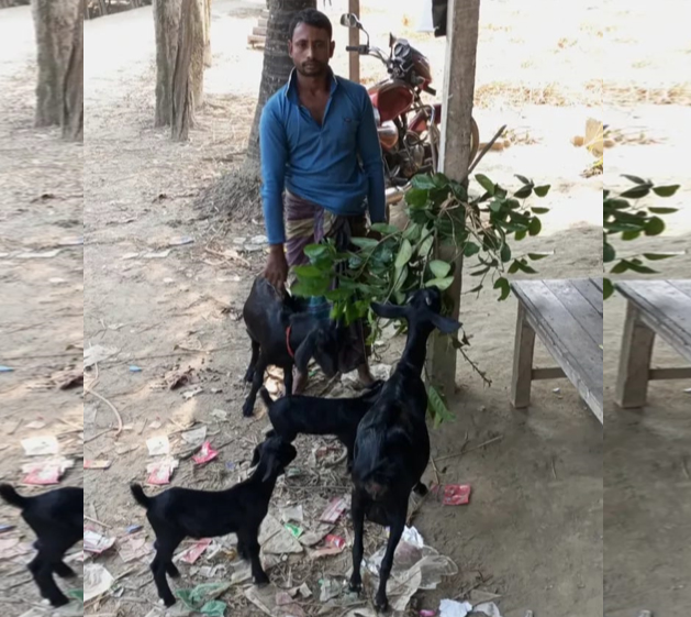 সংকল্প ও শ্রমে নির্মিত রিপন মিয়ার জীবনের গল্প